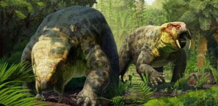 Life reconstruction of Dinodontosaurus isiyavamanda. Image credit: Gabriel Ugueto.