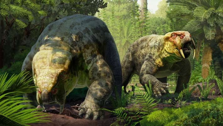 Life reconstruction of Dinodontosaurus isiyavamanda. Image credit: Gabriel Ugueto.