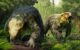 Life reconstruction of Dinodontosaurus isiyavamanda. Image credit: Gabriel Ugueto.