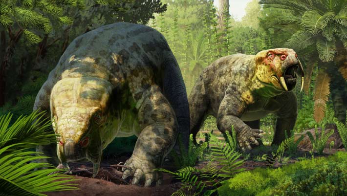 New Dicynodont Species from Tanzania Suggests Younger Age for Rocks Tied to Earliest Dinosaurs