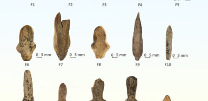 Mizyn figurines. Image credit: Radchenko et al., doi: 10.1038/s40494-026-02988-5.
