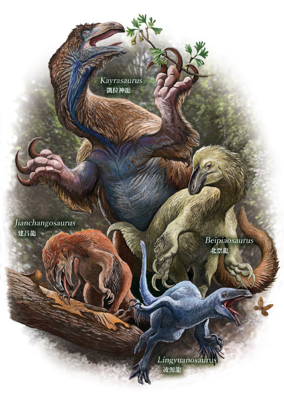 Life reconstruction of Jehol therizinosaurians, illustrating variation in body size, skeletal proportions and inferred ecological strategies among species (from bottom to top): Lingyuanosaurus sihedangensis is shown in a posture suggesting greater cursoriality; Jianchangosaurus yixianensis is depicted engaging in lingual-assisted feeding, consistent with its robust hyoid apparatus; Beipiaosaurus inexpectus exhibits a robust, less cursorial bauplan; and Kayrasaurus changliensis is reconstructed browsing on higher vegetation, reflecting its larger body size and inferred feeding strategy. Image credit: Kōhei Futaka.