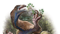 Life reconstruction of Jehol therizinosaurians, illustrating variation in body size, skeletal proportions and inferred ecological strategies among species (from bottom to top): Lingyuanosaurus sihedangensis is shown in a posture suggesting greater cursoriality; Jianchangosaurus yixianensis is depicted engaging in lingual-assisted feeding, consistent with its robust hyoid apparatus; Beipiaosaurus inexpectus exhibits a robust, less cursorial bauplan; and Kayrasaurus changliensis is reconstructed browsing on higher vegetation, reflecting its larger body size and inferred feeding strategy. Image credit: Kōhei Futaka.