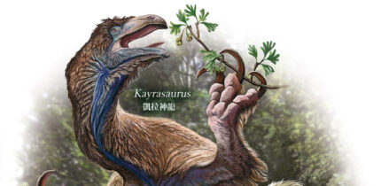 Life reconstruction of Jehol therizinosaurians, illustrating variation in body size, skeletal proportions and inferred ecological strategies among species (from bottom to top): Lingyuanosaurus sihedangensis is shown in a posture suggesting greater cursoriality; Jianchangosaurus yixianensis is depicted engaging in lingual-assisted feeding, consistent with its robust hyoid apparatus; Beipiaosaurus inexpectus exhibits a robust, less cursorial bauplan; and Kayrasaurus changliensis is reconstructed browsing on higher vegetation, reflecting its larger body size and inferred feeding strategy. Image credit: Kōhei Futaka.