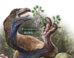 Life reconstruction of Jehol therizinosaurians, illustrating variation in body size, skeletal proportions and inferred ecological strategies among species (from bottom to top): Lingyuanosaurus sihedangensis is shown in a posture suggesting greater cursoriality; Jianchangosaurus yixianensis is depicted engaging in lingual-assisted feeding, consistent with its robust hyoid apparatus; Beipiaosaurus inexpectus exhibits a robust, less cursorial bauplan; and Kayrasaurus changliensis is reconstructed browsing on higher vegetation, reflecting its larger body size and inferred feeding strategy. Image credit: Kōhei Futaka.