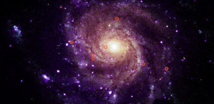 This composite image shows the locations of hypersoft X-ray sources in the face-on spiral galaxy Messier 101. Image credit: NASA / CXC / Univ. of Alabama / Muhibullah et al. / ESA / STScI / SAO / N. Wolk.