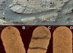 The concentric feature in the East Margin of the Margin unit, Jezero crater, Mars. Image credit: Bedford et al., doi: 10.1038/s43247-026-03997-9.