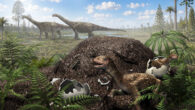 Titanosaur hatchlings emerging from a nest in the Cretaceous of Patagonia, Argentina. Image credit: Masato Hattori.