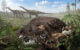 Titanosaur hatchlings emerging from a nest in the Cretaceous of Patagonia, Argentina. Image credit: Masato Hattori.