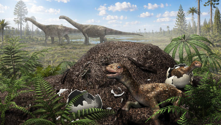 Titanosaurs Nested Far South of Equator, Fossil Eggshells Reveal
