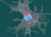 Incendiamoeba cascadensis undergoes cellular replication up to 63 degrees Celsius. Image credit: Rappaport et al., doi: 10.1016/j.cell.2026.08.043.
