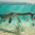 An artist’s impression of a plesiosaur feeding on the sea floor. Image credit: Lente Artemieff.