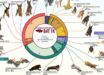 The first phase of the Bat1K project: 103 chromosome-level genome assemblies and annotations representing at least one species from each of the 21 currently recognized bat families. Image credit: Morales et al., doi: 10.1038/s41586-026-11007-3.