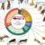 The first phase of the Bat1K project: 103 chromosome-level genome assemblies and annotations representing at least one species from each of the 21 currently recognized bat families. Image credit: Morales et al., doi: 10.1038/s41586-026-11007-3.