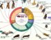 The first phase of the Bat1K project: 103 chromosome-level genome assemblies and annotations representing at least one species from each of the 21 currently recognized bat families. Image credit: Morales et al., doi: 10.1038/s41586-026-11007-3.