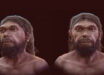 Facial approximation of the Jebel Irhoud hominin. Image credit: Moraes et al., doi: 10.3390/heritage9090369.