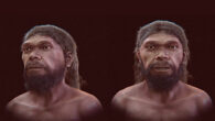 Facial approximation of the Jebel Irhoud hominin. Image credit: Moraes et al., doi: 10.3390/heritage9090369.