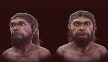 Facial approximation of the Jebel Irhoud hominin. Image credit: Moraes et al., doi: 10.3390/heritage9090369.