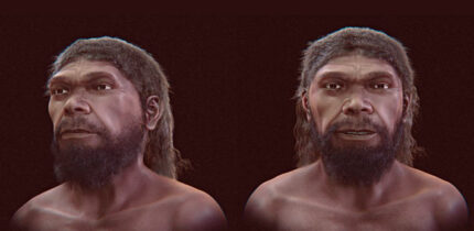 Facial approximation of the Jebel Irhoud hominin. Image credit: Moraes et al., doi: 10.3390/heritage9090369.
