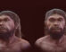 Facial approximation of the Jebel Irhoud hominin. Image credit: Moraes et al., doi: 10.3390/heritage9090369.