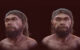 Facial approximation of the Jebel Irhoud hominin. Image credit: Moraes et al., doi: 10.3390/heritage9090369.