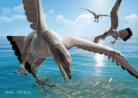 Life restoration of Tenuicruris piscanexum. Image credit: Travis Tischler.