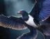 Life reconstruction of Norellraptor barsboldi. Image credit: Zhao Chuang.