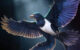 Life reconstruction of Norellraptor barsboldi. Image credit: Zhao Chuang.