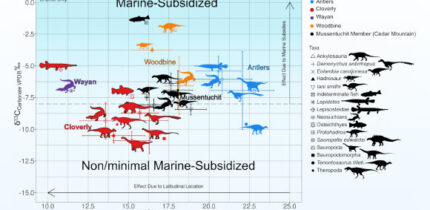This chart shows the average chemical signatures in the tooth enamel of different animal groups from the Cretaceous period. The vertical axis tracks carbon: the higher an animal’s carbon-13 reading, the more its diet likely came from the sea. The horizontal axis tracks oxygen, which reflects the local water the animals drank, such as a river, lake or seaway. Image credit: Forster et al., doi: 10.3389/fevo.2026.1895247.