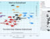 This chart shows the average chemical signatures in the tooth enamel of different animal groups from the Cretaceous period. The vertical axis tracks carbon: the higher an animal’s carbon-13 reading, the more its diet likely came from the sea. The horizontal axis tracks oxygen, which reflects the local water the animals drank, such as a river, lake or seaway. Image credit: Forster et al., doi: 10.3389/fevo.2026.1895247.