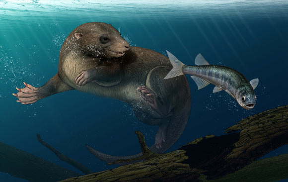 An artist’s reconstruction of Dongoconodon platycauda. Image credit: Shi Yukun.