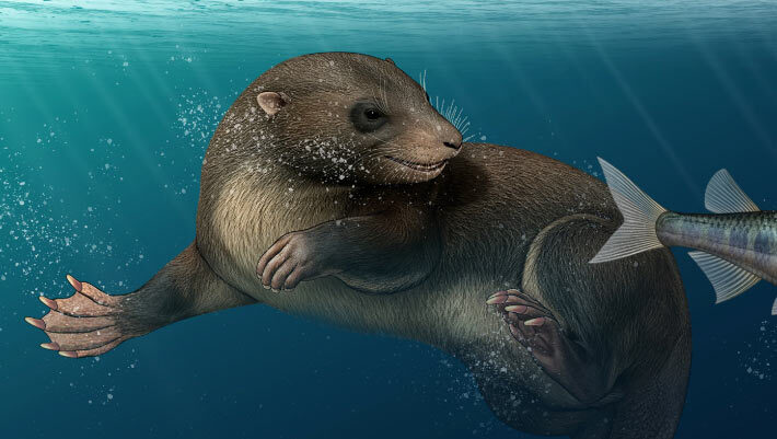 An artist’s reconstruction of Dongoconodon platycauda. Image credit: Shi Yukun.