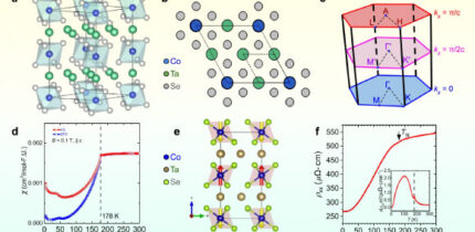 Establishment of altermagnetic crystal and magnetic structure in Co1/4TaSe2. Image credit: Sprague et al., doi: 10.1038/s41467-026-76784-x.