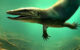 An artist’s impression of Garamaudo bauciensis. Image credit: Bardet et al., doi: 10.24072/pcjournal.804.