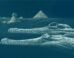 The Sphinx was carved from the same rock formation that yielded the Herugavialis cairensis fossil, and both are missing the tip of the nose. Image credit: Karim Zanaty.