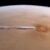 This image from ESA’s Mars Express shows the Arsia Mons Elongated Cloud. Image credit: ESA / DLR / FU Berlin / J. Cowart.