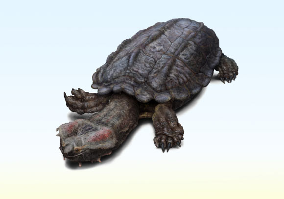 An artistic reconstruction of Chelus colombiana. Image credit: Juan Giraldo.