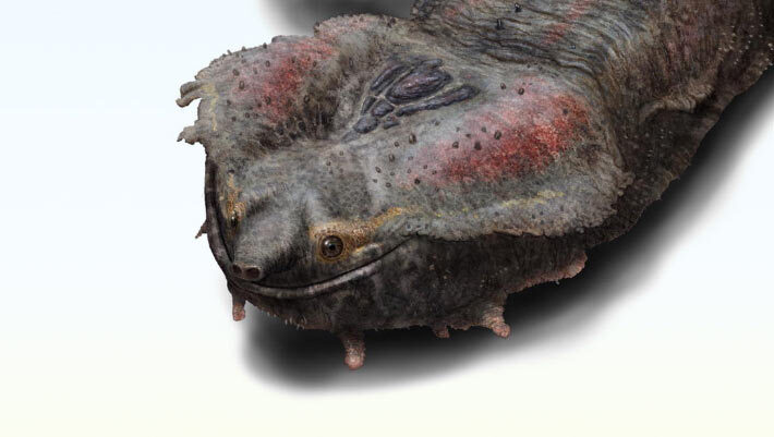 An artistic reconstruction of Chelus colombiana. Image credit: Juan Giraldo.