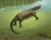 Life restoration of Megacauda sungei. Image credit: April I. Neander.