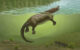 Life restoration of Megacauda sungei. Image credit: April I. Neander.