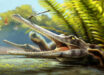 An artist’s reconstruction of Ctenosuchus tenuidens in a freshwater setting; the animal is depicted with an elongate rostrum and dense needle-like dentition, reflecting the anatomy described from the fossil specimens and a probable feeding strategy focused on small aquatic prey. Image credit: Nathan Dehaut.