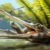An artist’s reconstruction of Ctenosuchus tenuidens in a freshwater setting; the animal is depicted with an elongate rostrum and dense needle-like dentition, reflecting the anatomy described from the fossil specimens and a probable feeding strategy focused on small aquatic prey. Image credit: Nathan Dehaut.