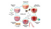 Vanillin has pronounced antioxidant, anti-inflammatory and antibacterial properties. Image credit: Stoilov et al., doi: 10.1016/j.ijpharm.2026.127263.