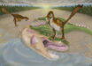 Atrociraptor scavenge the carcass of Albertosaurus along the edge of a river floodplain. Image credit: Joshua Adam Doyon.