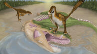 Atrociraptor scavenge the carcass of Albertosaurus along the edge of a river floodplain. Image credit: Joshua Adam Doyon.