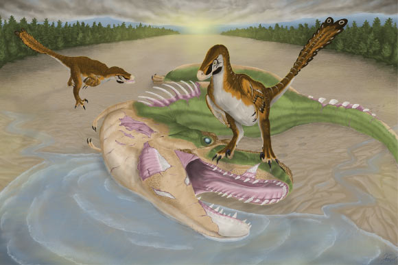 Small Raptors Likely Feasted on Fallen Tyrannosaur, Fossil Bite Marks Suggest
