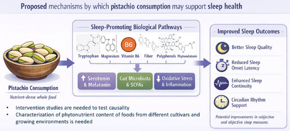 Pistachios are particularly rich in vitamin B6, magnesium, fiber, phenolic compounds, and phytomelatonin that could benefit sleep health. Image credit: Mixon et al., doi: 10.1017/S0954422426100511.