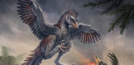 Life reconstruction of Yuezhuornis yangyuanensis. Image credit: Chung-Tat Cheung.