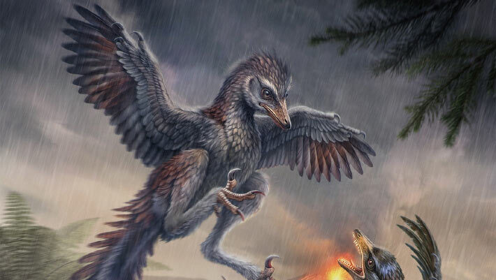 Life reconstruction of Yuezhuornis yangyuanensis. Image credit: Chung-Tat Cheung.
