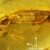 General view of the amber piece from Myanmar, arrows highlighting the debris stuck to the initial resin flow at the level of the ventral surface of the tail. Image credit: Fabrikant et al., doi: 10.26879/1706.
